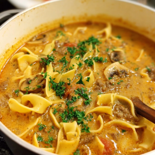 Kräftige Stroganoff Hack Suppe