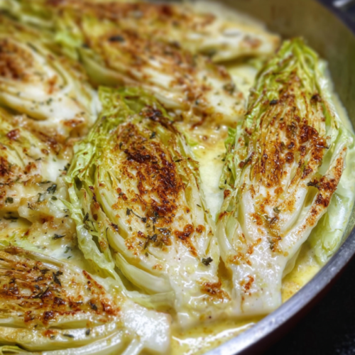 Cremiger Ofen Spitzkohl Genuss